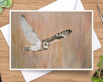 Owl Greeting Card, Owl Card, 5 x 7 Card, Wildlife Greeting Card, Animal Card, Wild Animal Card, Blank Inside, Wildlife Card, Short Eared Owl