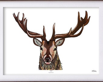 Stag Wall Art Print, British Animal Art, Woodland Wildlife, Stag Illustration, Stag Head, Stag Deer Art, Wildlife Art Print, A5/A4/A3 Print