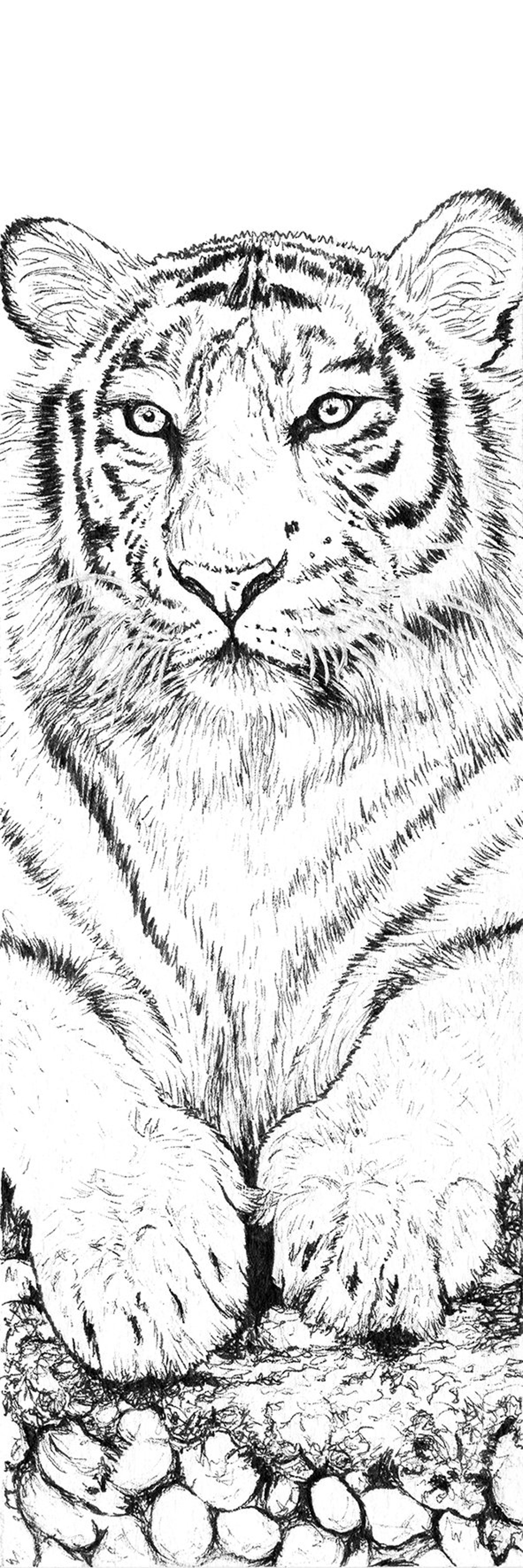 Tiger Bookmark Print Colourin Bookmark Kids Colouring  Etsy