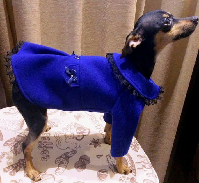 Warm dog coat Cashmere dog coat Cute dog coat Dog jacket Etsy