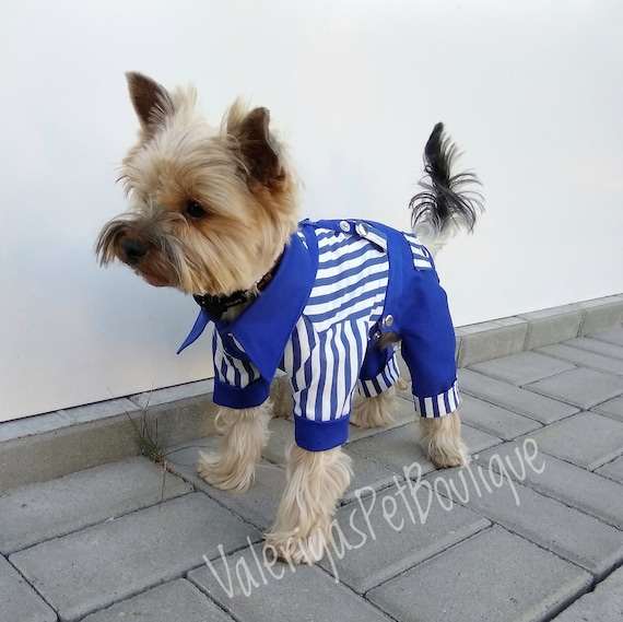 Boy dog outfit Set pants and shirt Custom dog clothes Small Etsy