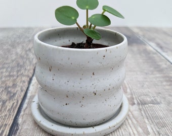 Mini holed wavy planter with saucer, speckled white
