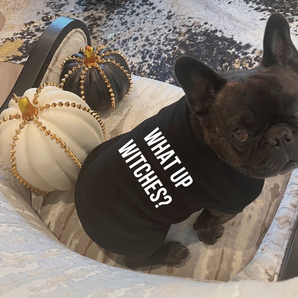 Small Dog Halloween Costumes Etsy