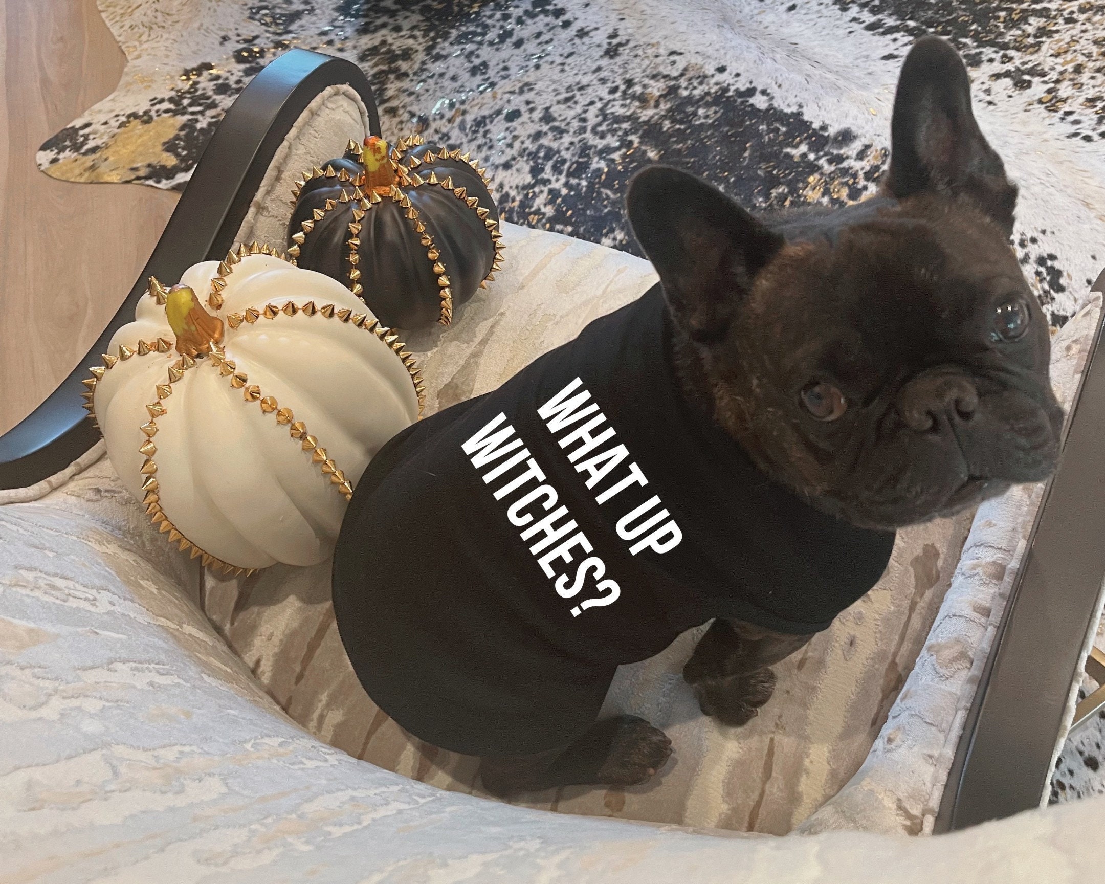 Bulldog Halloween Costume Etsy Canada