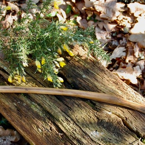 Könnte beinhalten: Ein hölzerner Spazierstock mit einer silberfarbenen Metallspitze und einer dunkelbraunen Metallbasis. Der Stock liegt auf einem Stück verwittertem Holz mit gelben Blumen im Hintergrund.