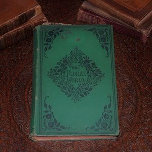 The Floral World and Garden Guide - C 1874 - Antique Gardening and Flower  Book