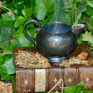 Petit Chaudron en Plaqué Argent - Chaudron de Sorcières en Argent