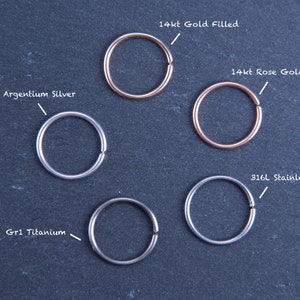 20G 22G Silver, Stainless Steel, Titanium Nose Ring, Cartilage Earring, Helix, Tragus, Rook, Daith image 10