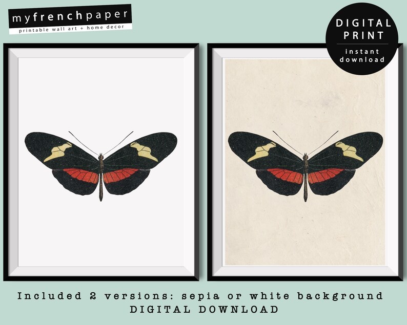 Antique Butterfly Instance Printable Butterflies Decor Fast Down load graphic regarding Printable Butterflies named Antique Butterfly Case in point Printable Butterflies Decor Instantaneous Obtain