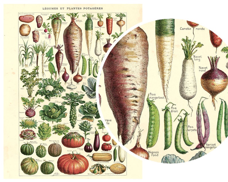 Printable Vegetable Print Printable Vegan Gift Printable Etsy printable-vegetable-print-printable-vegan-gift-printable-etsy