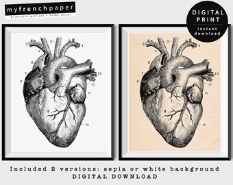Anatomical Heart Print, Anatomy Heart Poster Vintage Anatomy Print, Heart Anatomy Art Print, Printable Anatomy Wall Art Anatomical Heart Art