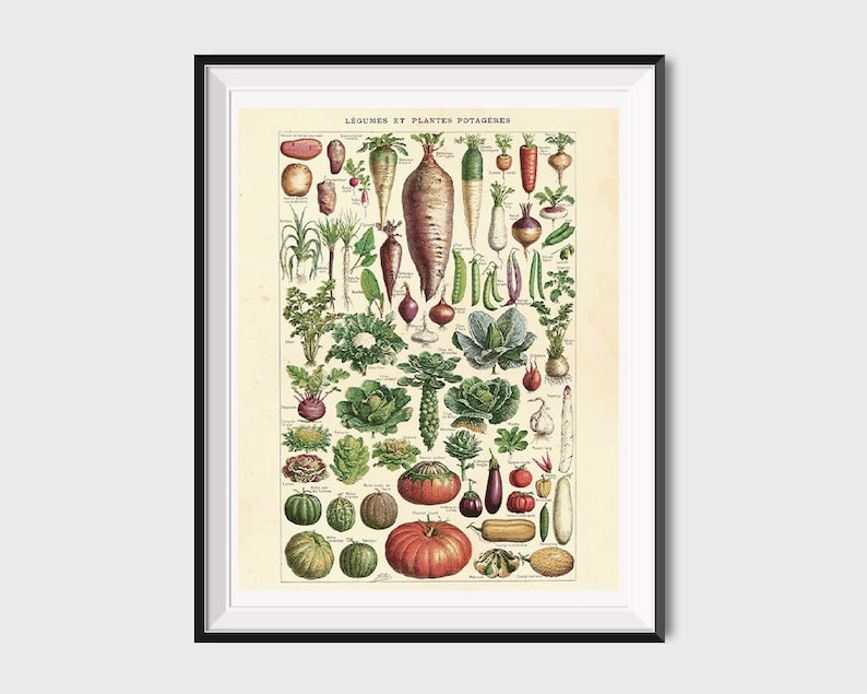 Printable Vegetable Print Printable Vegan Gift Printable Etsy Printable Vegetable Print Printable Vegan Gift Printable Etsy