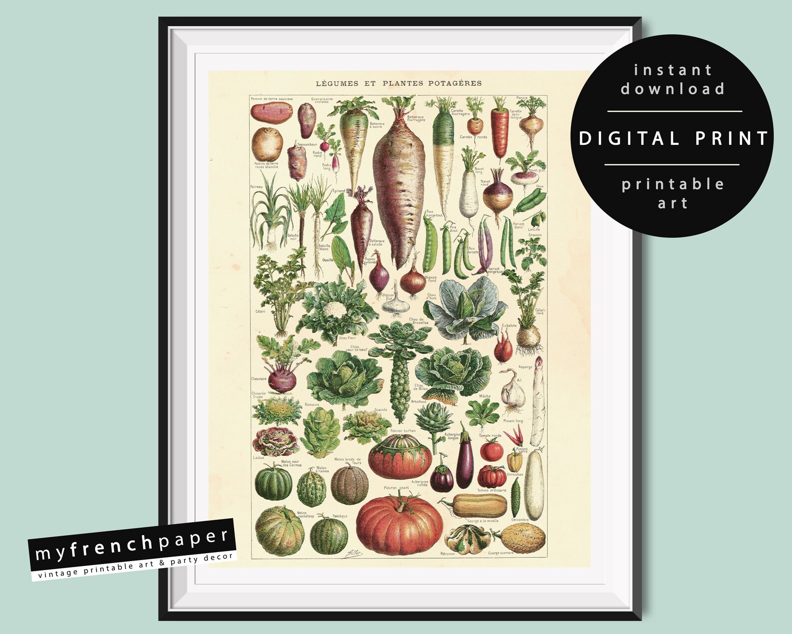 French Botanical Print Set Vintage Antique Botanical Etsy