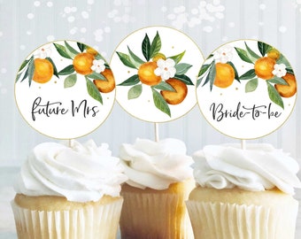 Orange Bridal Shower Decorations, Citrus Bridal Shower Cupcake Toppers, Clementine Citrus Bridal Shower Decor, Citrus Decorations, O1