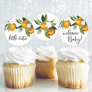 Little Cutie Baby Shower Decorations, Cutie Baby Shower Cupcake Toppers Printable, Clementine Orange Citrus Baby Shower Favors, O1