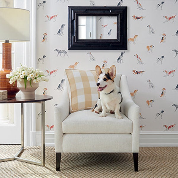 Thibaut Buddy WALLPAPER in Multi Color/ other colors available