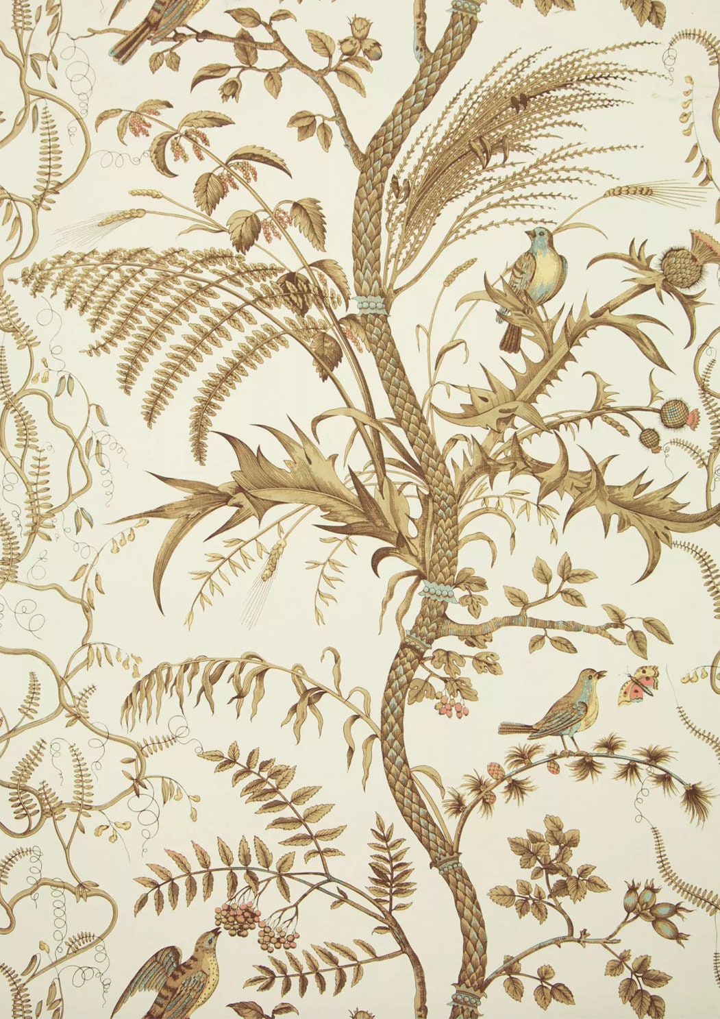 Brunschwig and Fils Bird and Thistle WALLPAPER in Beige/other colors available