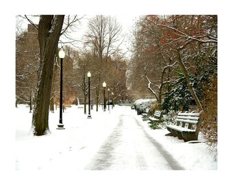 BOSTON  Public Gardens at dusk