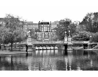 PANORAMIC BOSTON  Swan Boats  panoramic