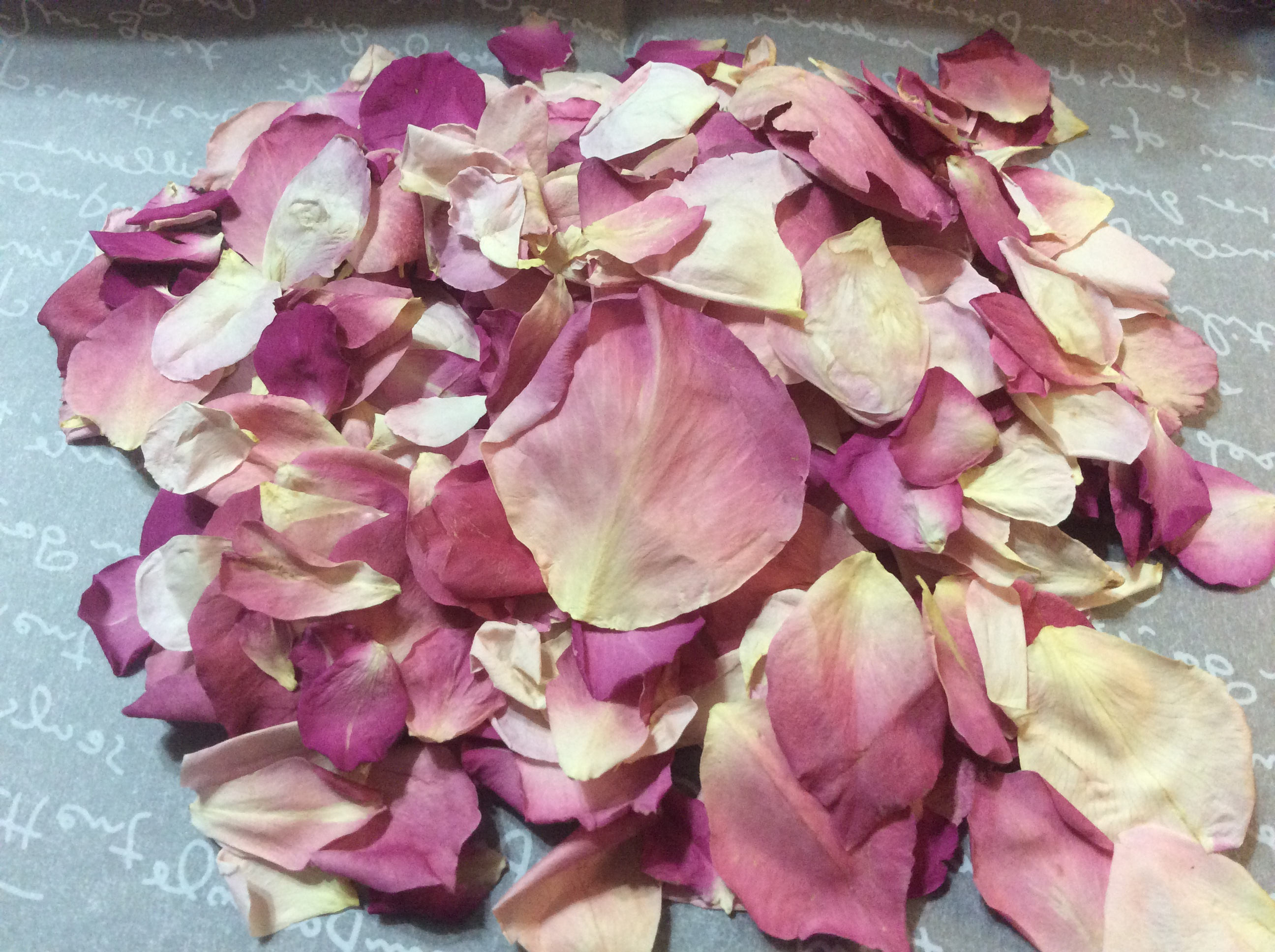Freeze Dried Assorted Flower Petals Flower Confetti for Etsy