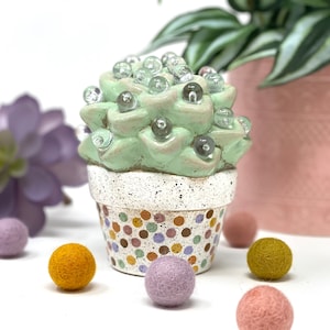 Fun Succulent Nightlight with LED bulb