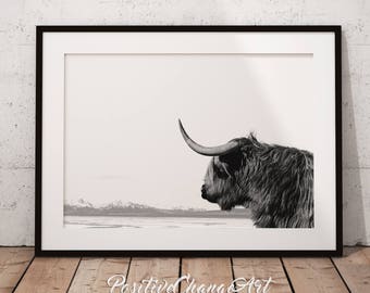 Highland Cow, Highland Cow Print, Highland Cow Art, Scottish Cow Wall Art, Scottish Cow Print, Printable Highland Cow, Highland Cow Poster