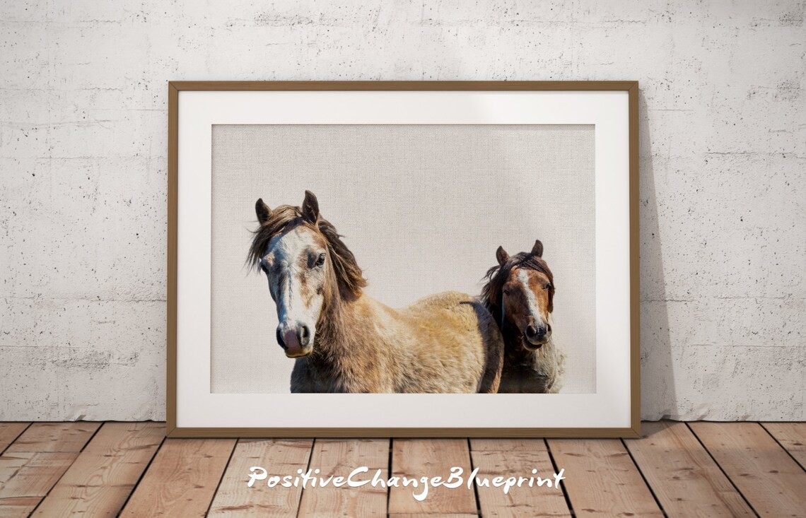 Horse Photography Horse Wall Art Large Horse Photography Art Etsy