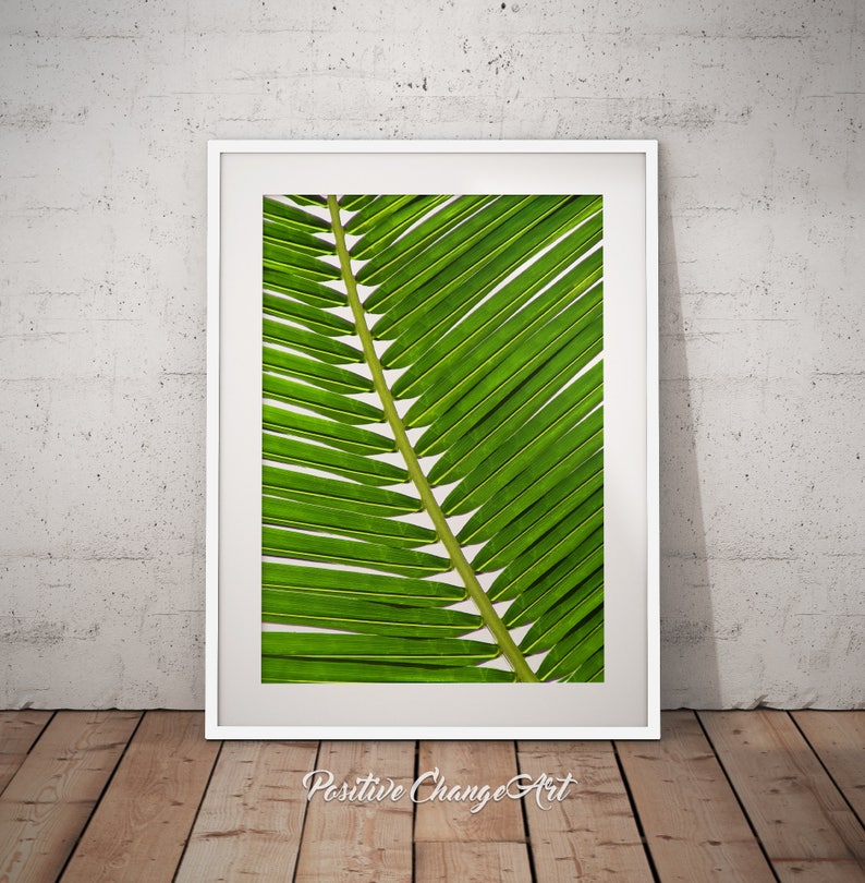 Palm Leaf Art Print, Palm Leaf, Printable Palm Leaf, Tropical Leaf Decor, Palm Leaves Print, Palm Leaves, Palm Leaf Wall Art, Tropical Leaf image 3