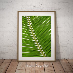 Palm Leaf Art Print, Palm Leaf, Printable Palm Leaf, Tropical Leaf Decor, Palm Leaves Print, Palm Leaves, Palm Leaf Wall Art, Tropical Leaf image 1