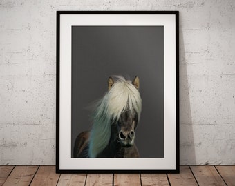 Wall print horse, Lake house wall decor, Modern farmhouse art, Horse photography, Nursery Horse, Horse art, Minimalist horse art, Horses art