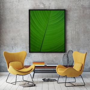 Banana Leaf, Banana Leaf Decor, Banana Leaf Wall Art, Banana Leaves, Banana Leaf Print, Banana Leaf Art, Banana Wall Art, Banana Leaves art