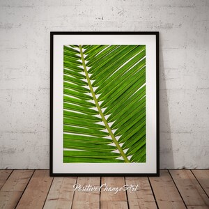 Palm Leaf Art Print, Palm Leaf, Printable Palm Leaf, Tropical Leaf Decor, Palm Leaves Print, Palm Leaves, Palm Leaf Wall Art, Tropical Leaf image 2