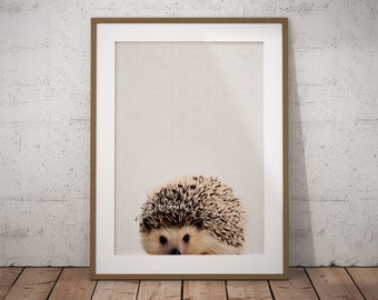 Woodland Nursery Hedgehog, Woodland Creatures, Hedgehog, Woodland Nursery, Hedgehog Art Print, Nursery Wall Art, Forest Animals Printable