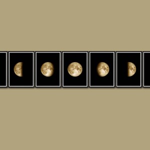 Puede incluir: Una imagen en blanco y negro de la luna en ocho fases diferentes. La luna se muestra en fase creciente, menguante, gibosa y llena.
