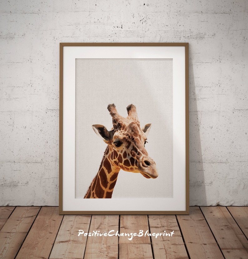 Giraffe Nursery Safari Nursery Art Giraffe Nursery Wall Etsy