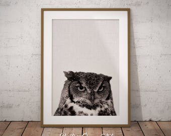 Woodland Owl Art, Forest Owl Art, Forest Animals Owl, Nursery Wall Owl Art, Woodland Owl Print, Owl Art Print, Owl Print, Forest owl print