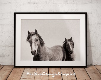 Horse, Horse Photography, Horse Photo, Animal Photography, Horse Lover, Horse Decor, Farm Animal Print, Horse Wall Art, Black And White Art