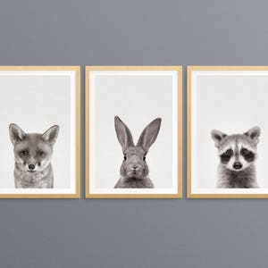 Fox Rabbit Raccoon Nursery Wall Art Set of 3, Neutral Woodland Animal ...