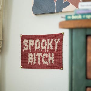 Spooky B ^ Gobelin Häkelanleitung