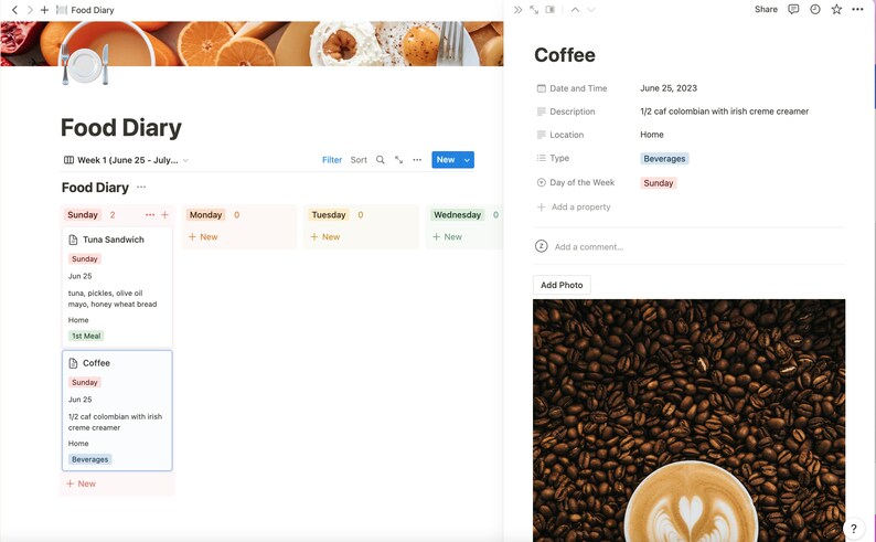 Food Diary Notion Template Etsy