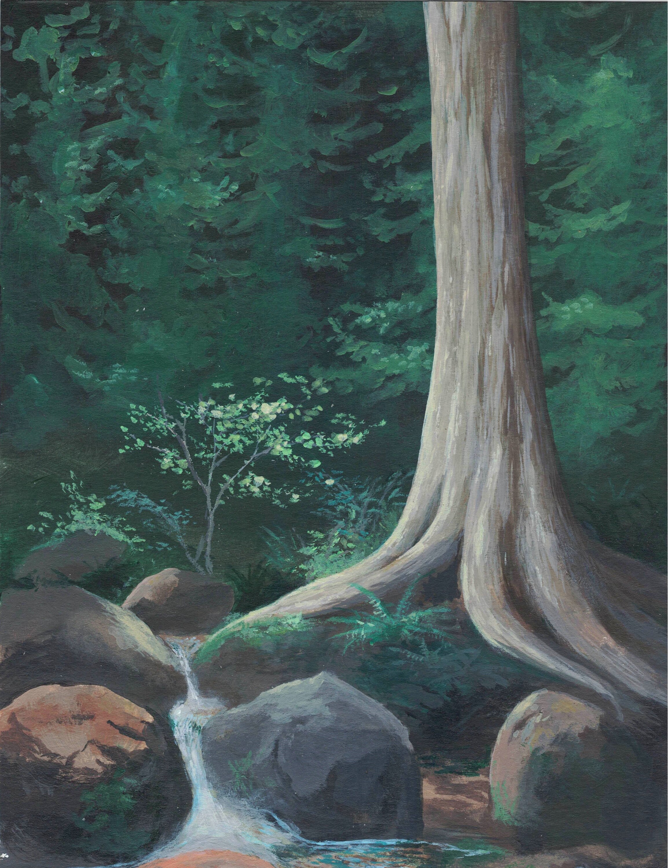 Cedar Creek painting Acrylic print North Vancouver | Etsy