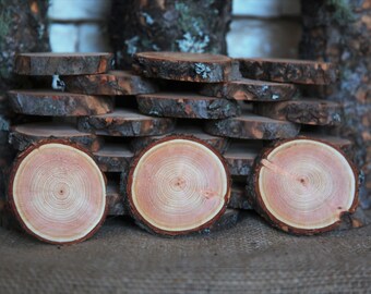 24 Douglas Fir Tree Slices - 4" to 4.5"