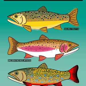 Trout Poster