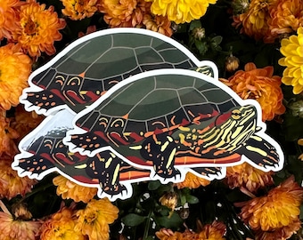 Painted Turtle Sticker