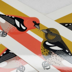 White winged crossbill sticker
