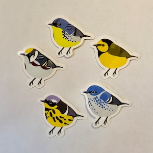 Könnte beinhalten: Fünf bunte Vogelsticker mit gelben, blauen und weißen Akzenten. Die Vögel sind in verschiedenen Posen, darunter sitzend und fliegend.