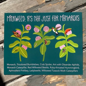 Milkweed—It’s not just for Monarchs