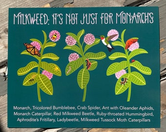 Milkweed—It’s not just for Monarchs