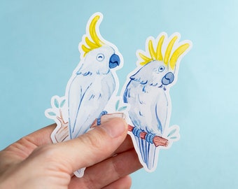 Cacatoes Bleu Etsy