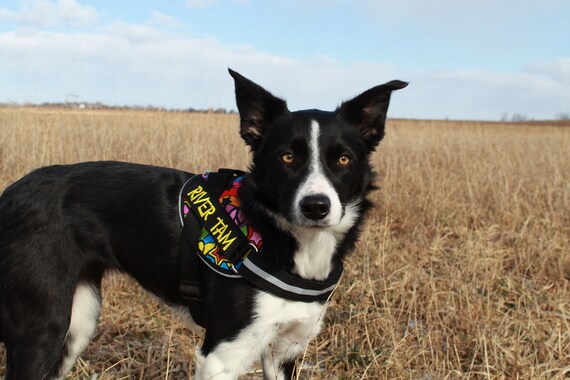 Large Patch for Julius K9 Harness Letters A-K NEW AGILITY ASSISTANCE DOG